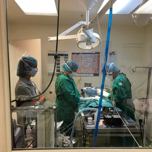 [San Juan VH] surgical suite in action