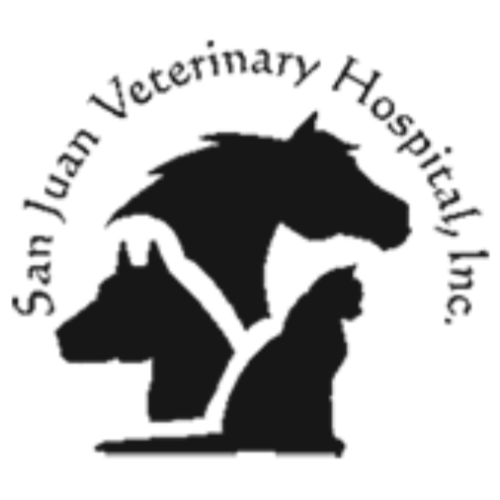 Vet Near Me Pagosa Springs, CO | San Juan Veterinary Hosp.